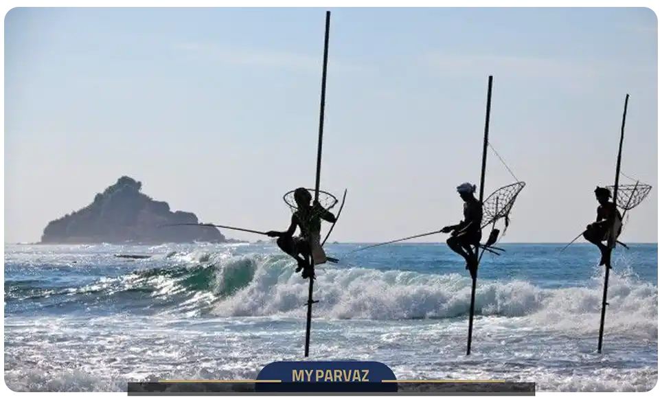 ماهیگیری و نقش سواحل